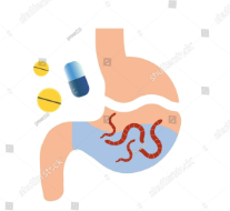 Acetaminophen 500mg Major